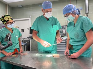 How VA develops highly skilled compassionate health professionals