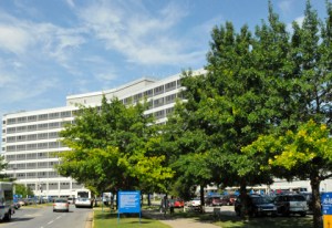 Veterans Affairs coronavirus deaths jump 13 percent over the weekend