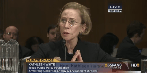 Senate Dems: EPA nominee plagiarized written testimony