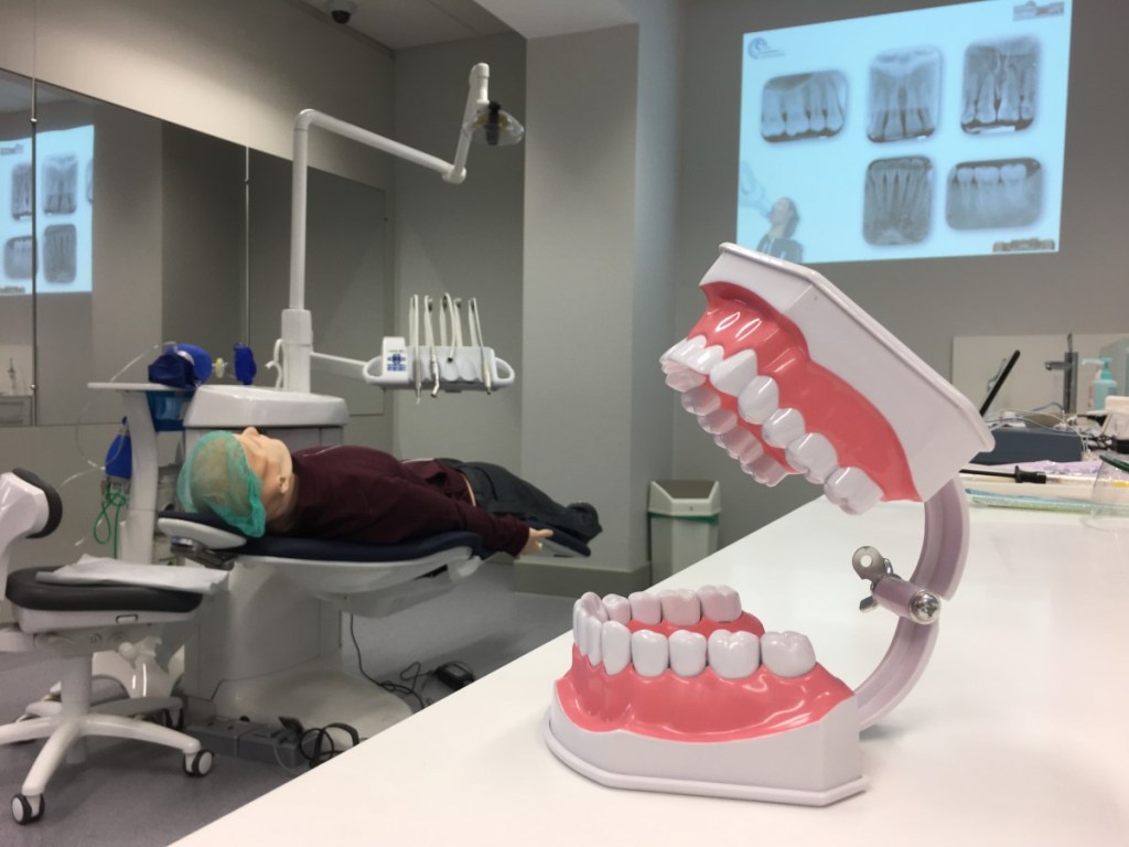 Military families will see slight increases in Tricare dental premiums