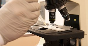 Backlog of pathology cases forces Fort Belvoir hospital to take action