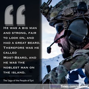 Maybe the Vikings had it right about this whole warrior-beard thing