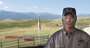 GREATful4VETS: Dennis Stevens’s story