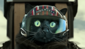 ‘Top Gun’ reimagined with a cat is purrrrfection
