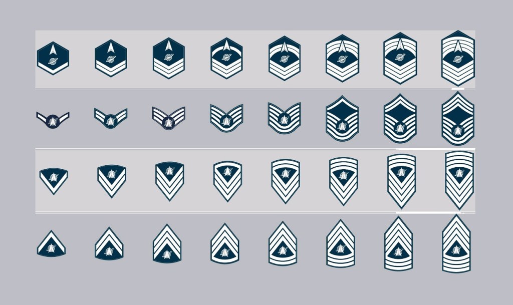 Guardians, the Space Force wants you to help determine your enlisted rank insignia