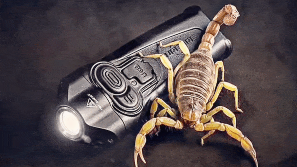 The NEW SureFire Stiletto is here!