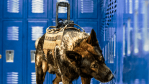 The Core K9 camera goes thermal
