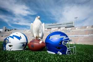Meet Nova, the Air Force Academy’s new mascot