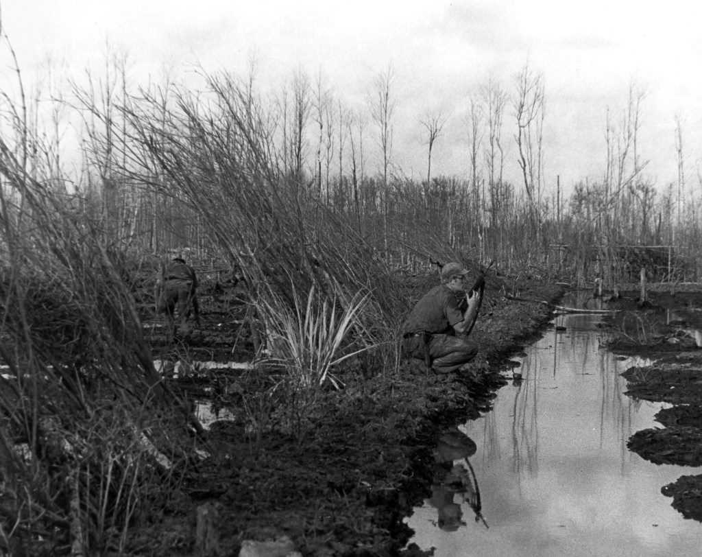 Senate Dems blast OMB for delaying VA decision on new Agent Orange presumptives