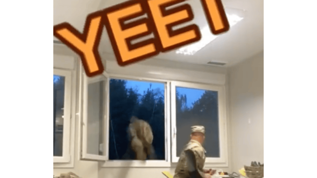 Meet the soldier who jumps out of a window every day to escape Army boredom