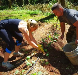 Interested in agriculture? Check out this new site for vets