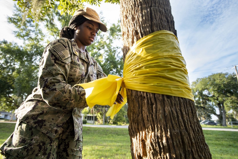 Pentagon inspector general to assess Navy’s suicide prevention efforts