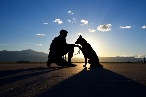 Attackers beat former Army Ranger and steal his service dog