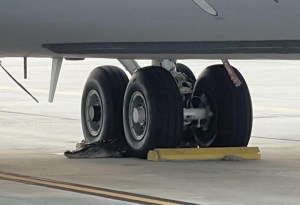 Air Force says ‘see ya later’ to gator happily blocking plane’s wheels