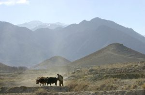 Islamic State says it has taken Tora Bora, bin Laden’s Afghan hideout