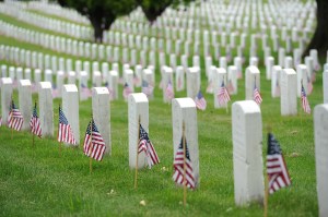 Pets no longer allowed in Arlington Cemetery
