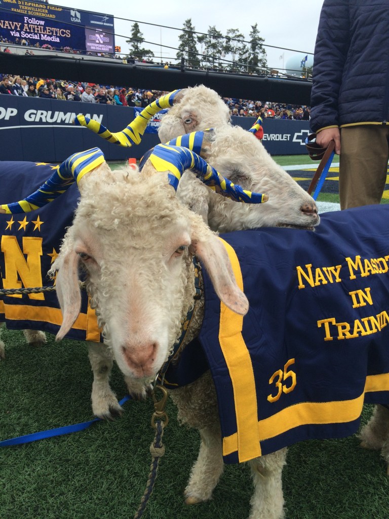 Naval Academy’s goat mascot passes away