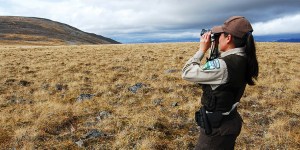 Senator backs calls for Interior Department to move west