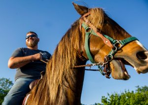 Nebraska veterans turn to horse-assisted therapy