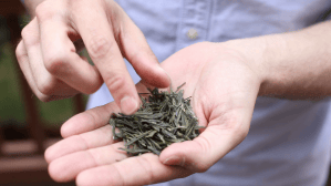 Army vet launches tea company as a way to help post-war communities