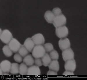 Lockheed wins Army contract to grow new materials from cells