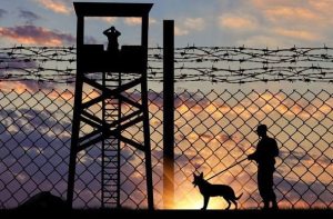Caring for military working dogs after they finish their service