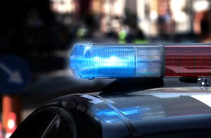 Sailor arrested after allegedly beating two dogs to death