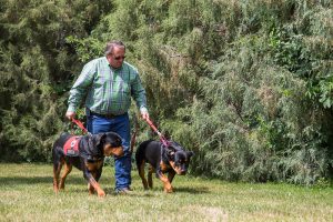 Service dogs help Iraq War veteran in Wyoming deal with PTSD