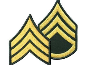 Here are the soldiers who just made sergeant and staff sergeant
