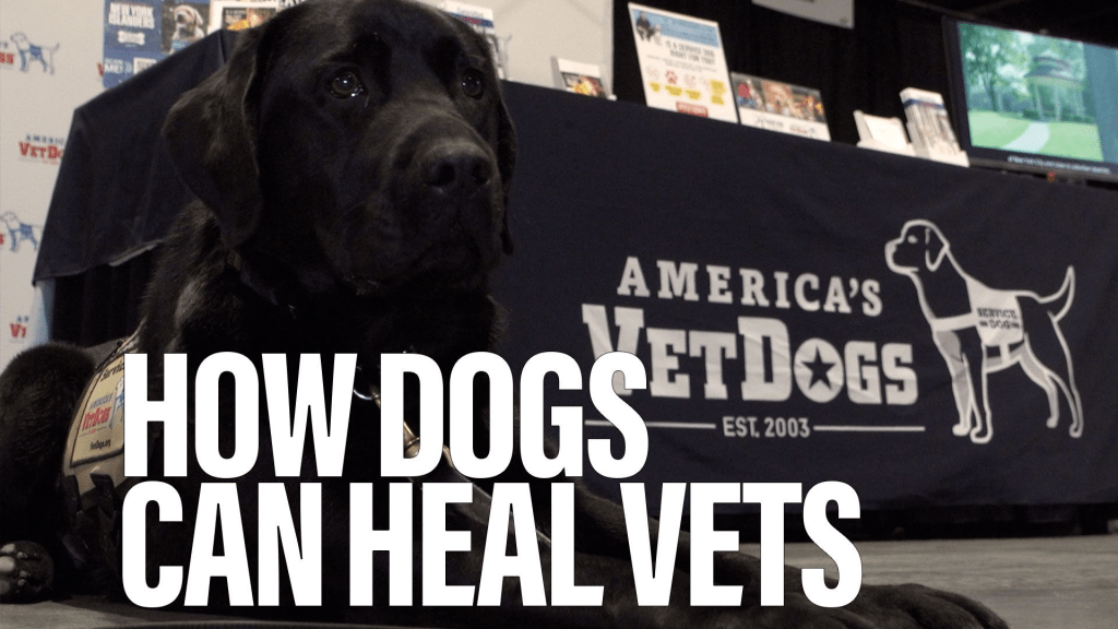 The healing power of dogs for vets