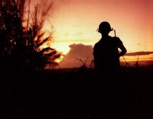 ‘We Were Soldiers’ author is interviewing Vietnam vets and preserving their war stories