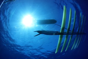 Liquid Robotics launches updated Wave Glider drone for Arctic conditions