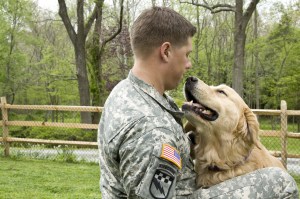 Warrior Canine Connection seeks answers after contract is halted at Walter Reed, Fort Belvoir