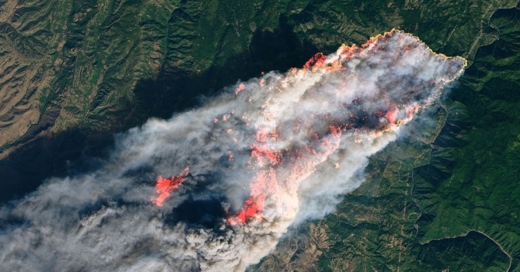 US Forest Service boss decries arrest of employee in planned burn