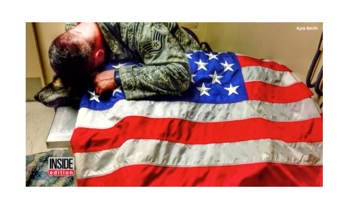Airman drapes flag over military working dog’s body after he’s put to sleep