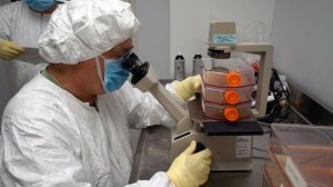 Army’s Zika vaccine shows promising results in early trials