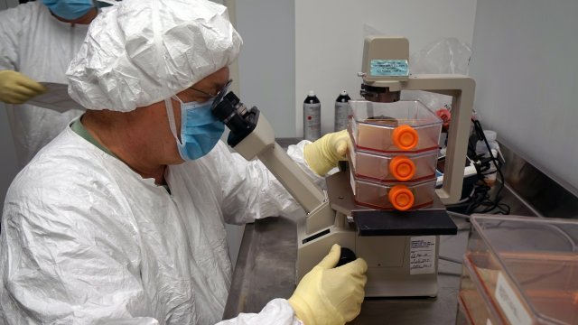 Army’s Zika vaccine shows promising results in early trials
